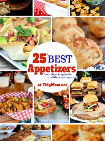 Party Ready! 25+ Best Appetizer Recipes - from dips and spreads to siders and more at TidyMom.net