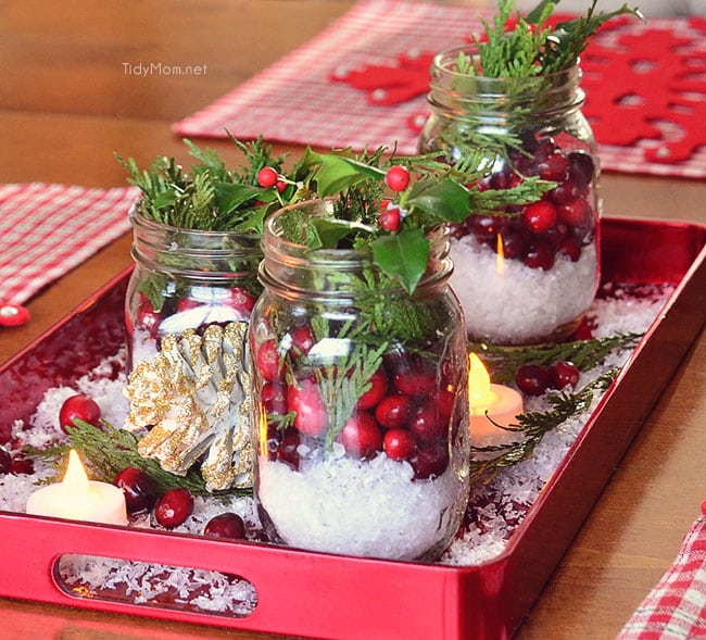 There is something magical about bringing the outside in, with this Easy Cranberry Centerpiece for the holidays. learn more at TidyMom.net