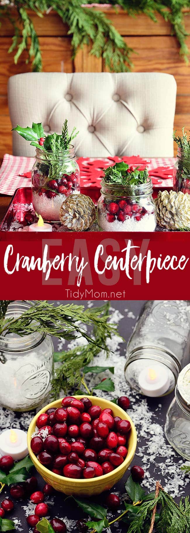 Cranberry Centerpiece TidyMom
