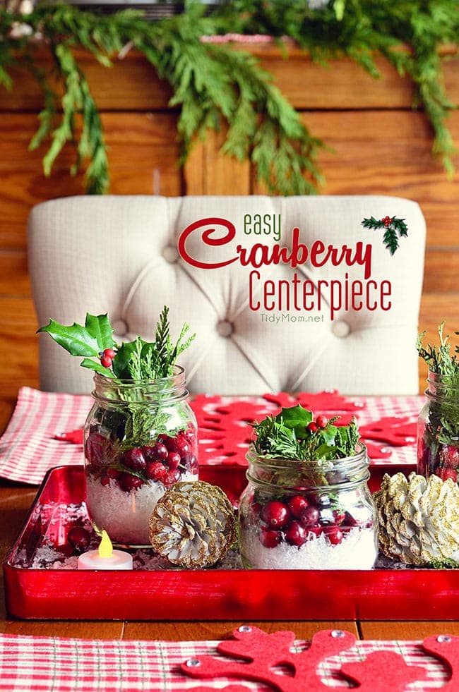 Easy Christmas Cranberry Centerpiece - details at TidyMom.net