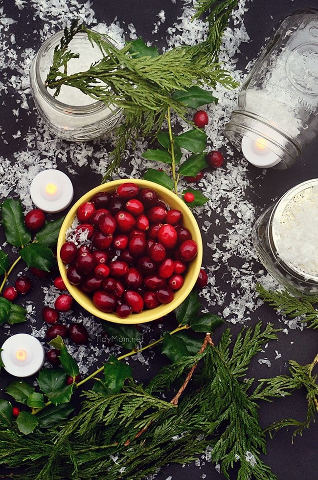 There is something magical about bringing the outside in, with this Easy Cranberry Centerpiece for the holidays. learn more at TidyMom.net