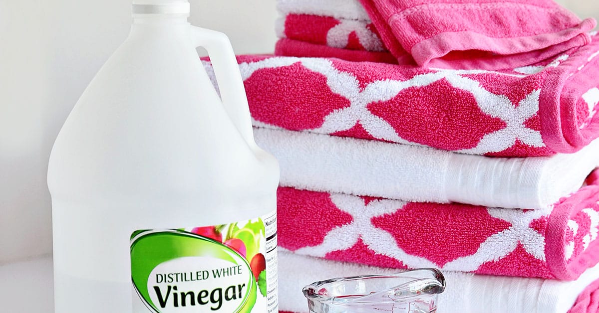 prevent-and-remove-mildew-smell-from-clothes-tidymom