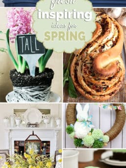 Fresh Inspiring Ideas for Spring projects, recipes and decor at TidyMom.net