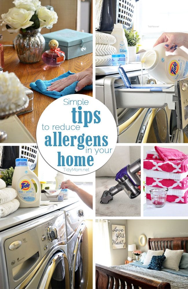 Limit the effect allergens have on your family by utilizing these 6 simple tips to reduce allergens in your home without breaking the bank. at TidyMom.net