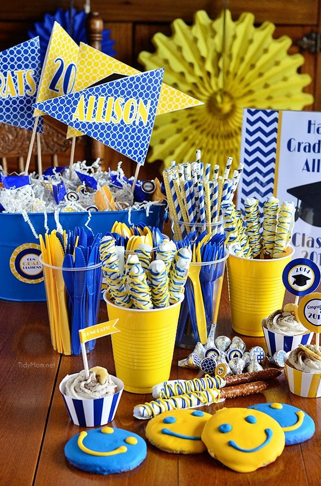 Stress Free Graduation Party ideas at TidyMom.net