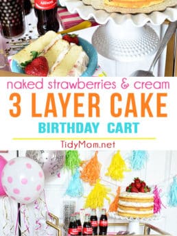 Fun Birthday Cart with a Naked Strawberries and Cream Cake! 3 delicious layers of homemade pound cake, with fresh strawberries and a dreamy vanilla whipped cream cream cheese frosting recipe and party details at TidyMom.net