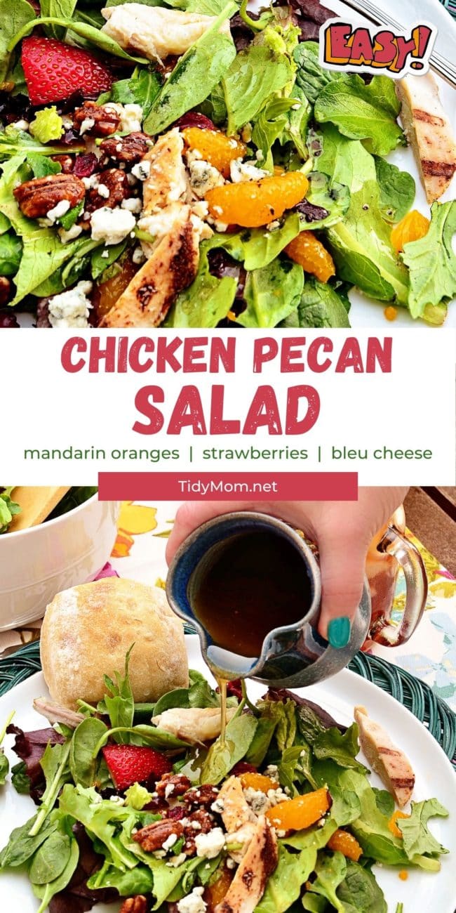 Chicken Pecan Salad with mandarin oranges