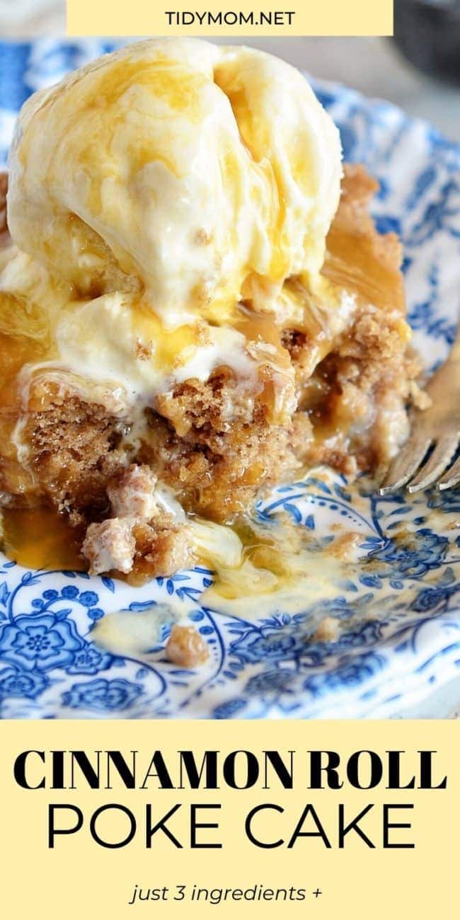 piece of cake on a blue plate with ice cream