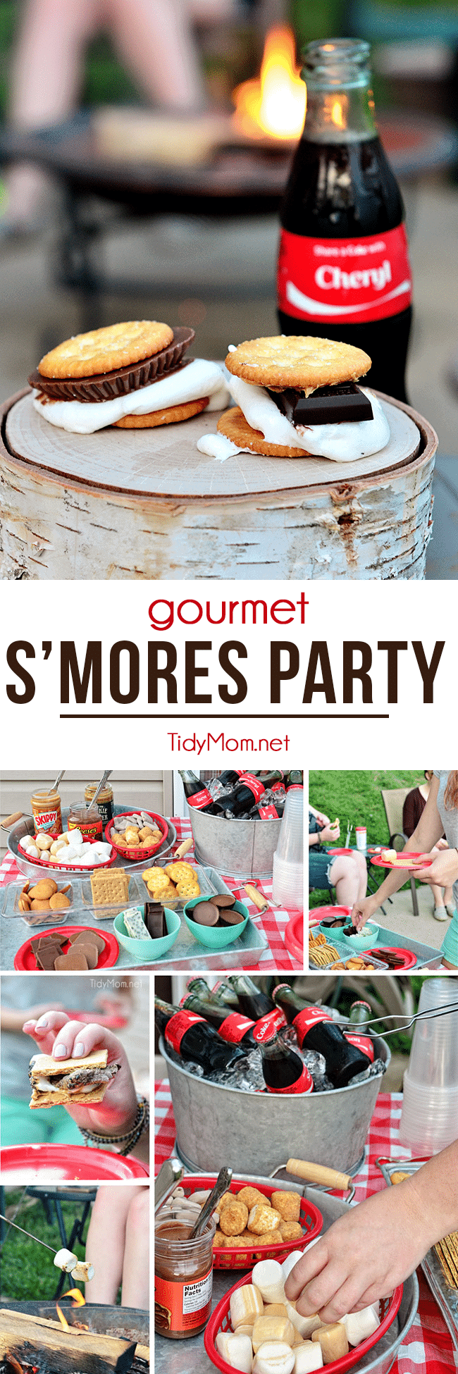 Everyone loves roasting marshmallows over a bonfire, but this time the nostalgic activity get's a fancy twist with a gourmet make-your-own s'mores party! at TidyMom.net