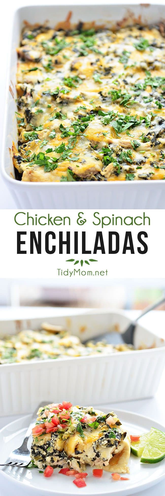 Chicken and Spinach Enchiladas on a plate