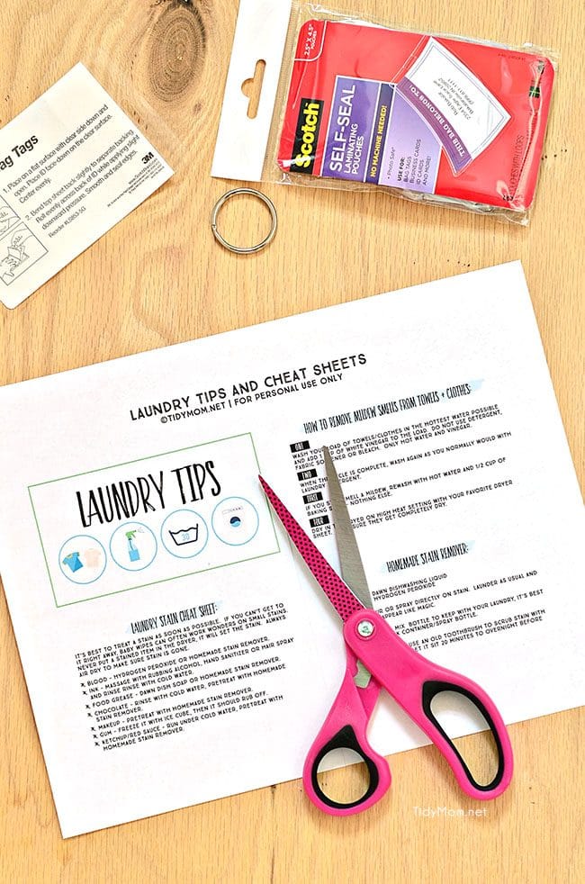 Free Printable Laundry Tips Flip Book at TidyMom.net