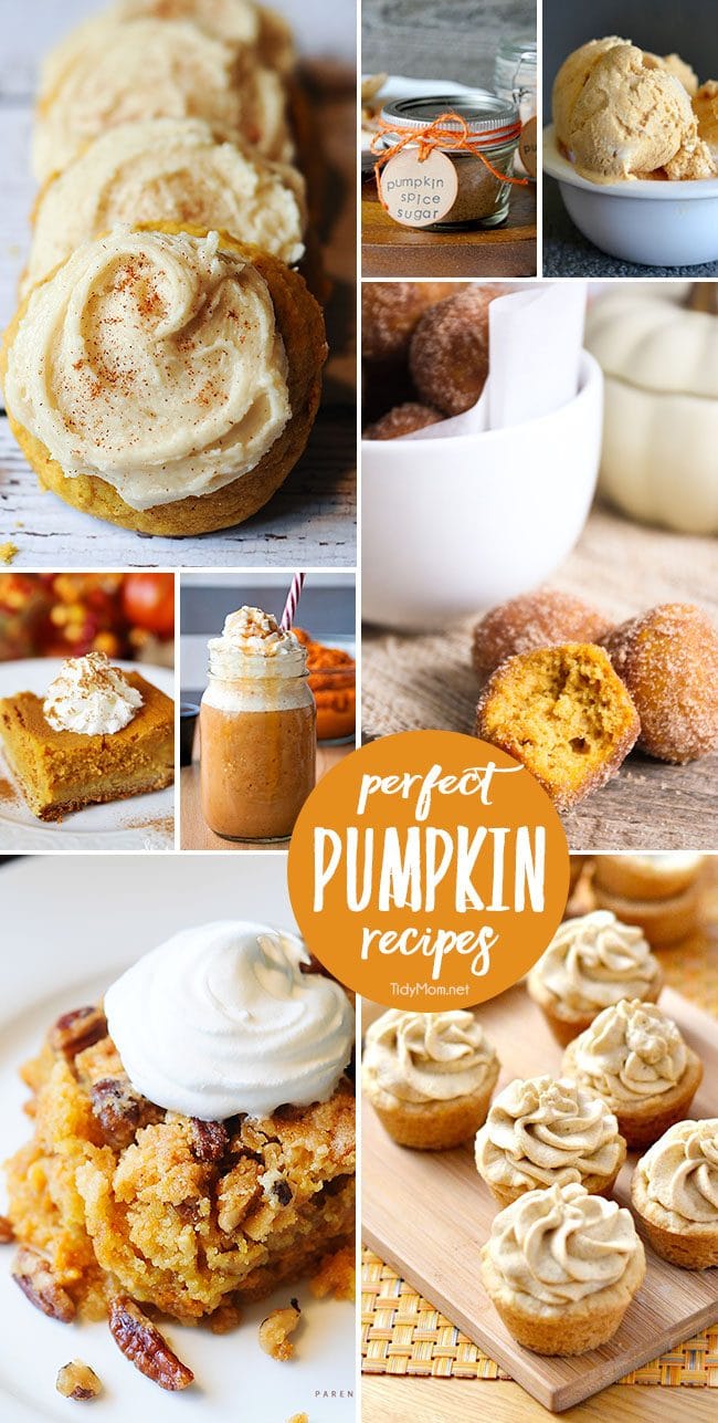 It’s that time of year where pumpkins are reining king of the kitchen! Here are 8 Perfect Pumpkin Recipes for Fall that are sure to excite your taste buds at TidyMom.net