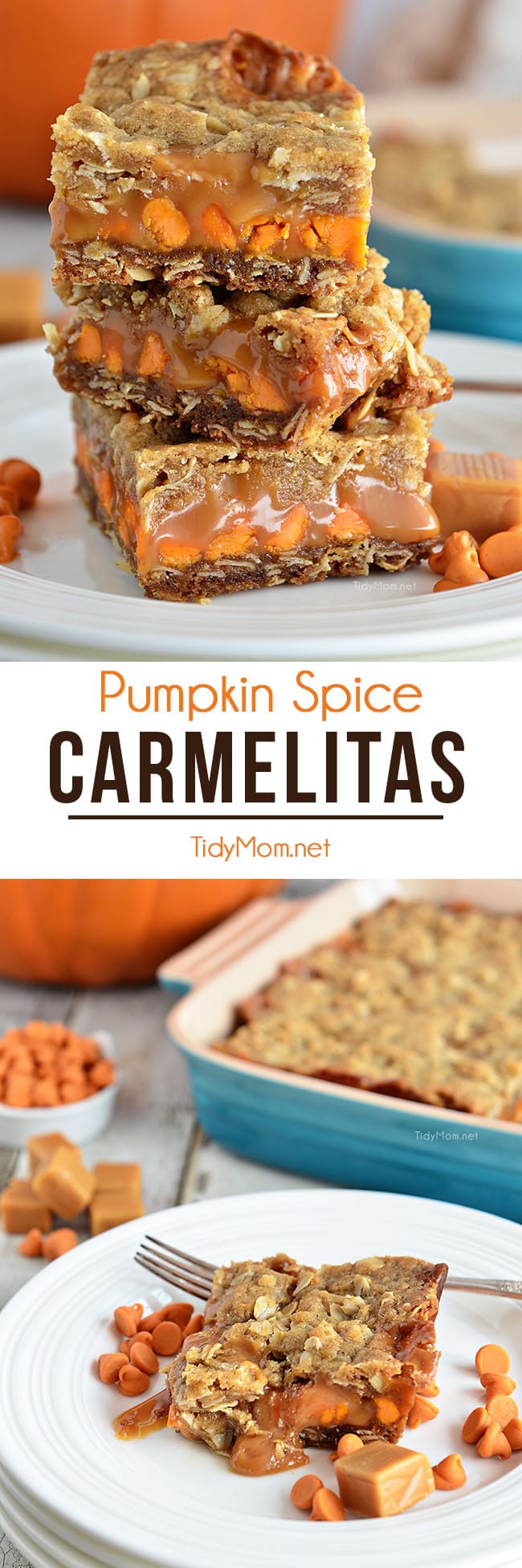 Pumpkin Spice Carmelita Bars | TidyMom®