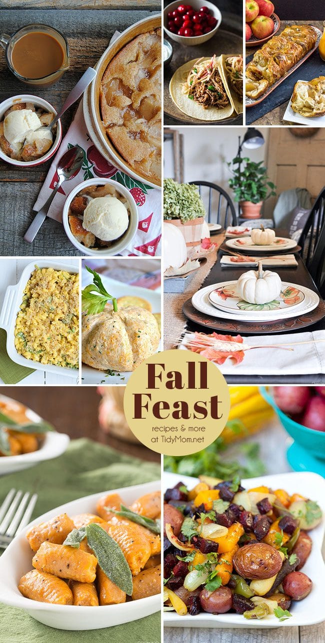 It is officially time to embrace all that autumn has to offer. Time to welcoming the chilly weather, and fall harvests. Click to find everything for Fall Feast recipes and entertaining at TidyMom.net