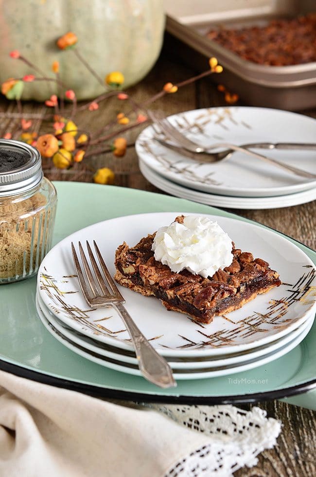 Fingers were licked, not a crumb left on a plate. This pecan pie bar recipe just may replace the pie altogether. Gooey Chocolate Pecan Pie Bars at TidyMom.net