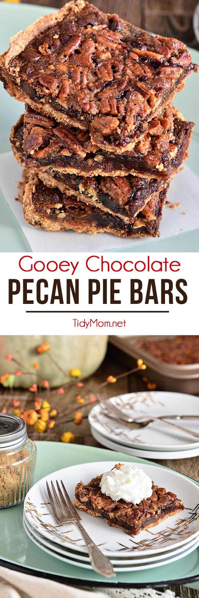Chocolate Pecan Pie Bars | TidyMom®