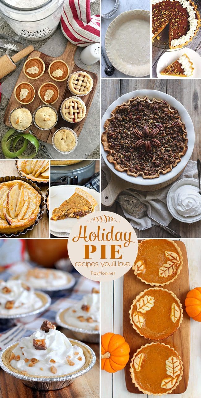 Holiday Pie Recipes You’ll Love. From Pumpkin Pie, to Pecan Pie, Apple Tarts to Cookie Pie and so many more pie recipes at TidyMom.net