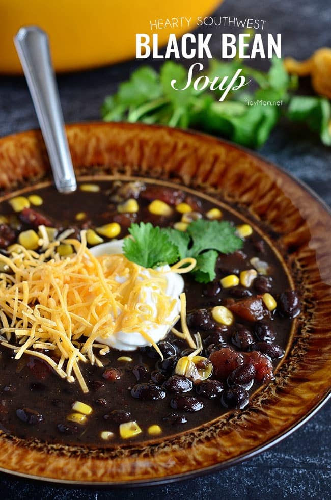 Hearty Southwest Black Bean Soup {VIDEO} - TidyMom®