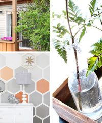 It’s a season of renewal! Find 8 Spring Home Ideas that will breath new life into your decor.