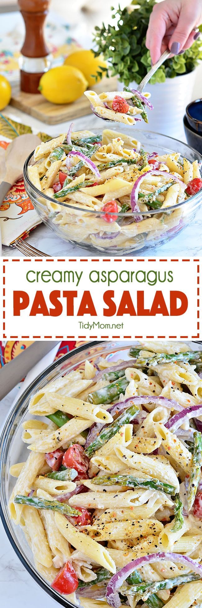 Creamy Asparagus Pasta Salad comes with an extra punch of flavor from fresh lemon juice and makes a perfect spring side dish. Add grilled chicken and it could be a meal all on it’s own. Recipe at TidyMom.net