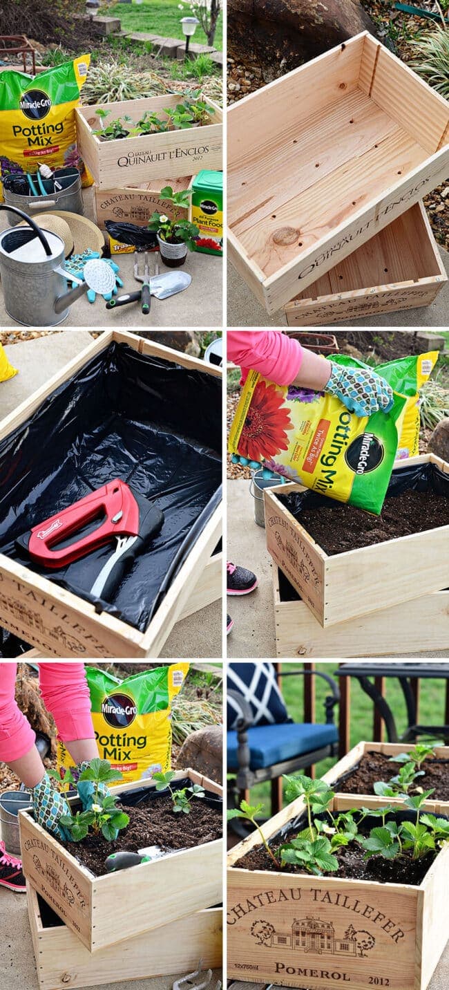 Vegetables, herbs and flowers can thrive in wine boxes—or in other crates. Wine box planters are great for small space gardens. Get step-by-step tutorial for a wine crate garden at TidyMom.net