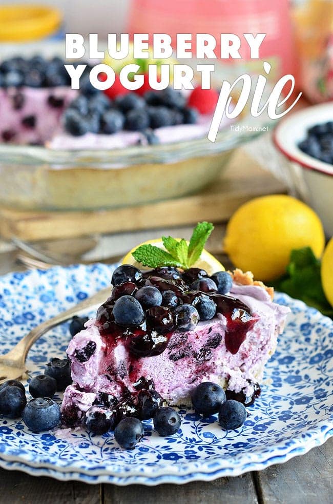 Frozen Blueberry Yogurt Pie on a plate