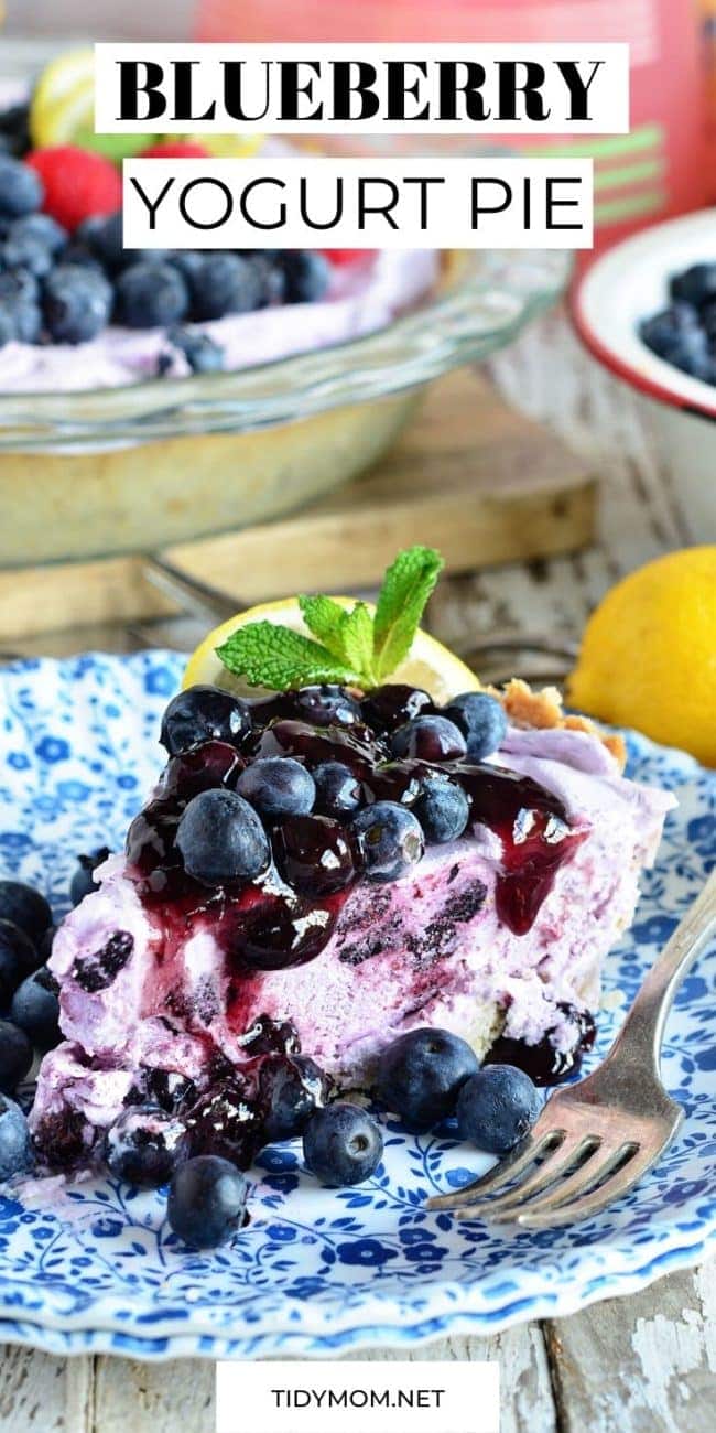 a slice of Blueberry Yogurt Pie on a plate