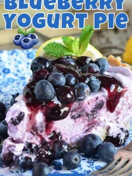 frozen blueberry yogurt pie