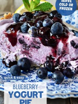frozen yogurt pie
