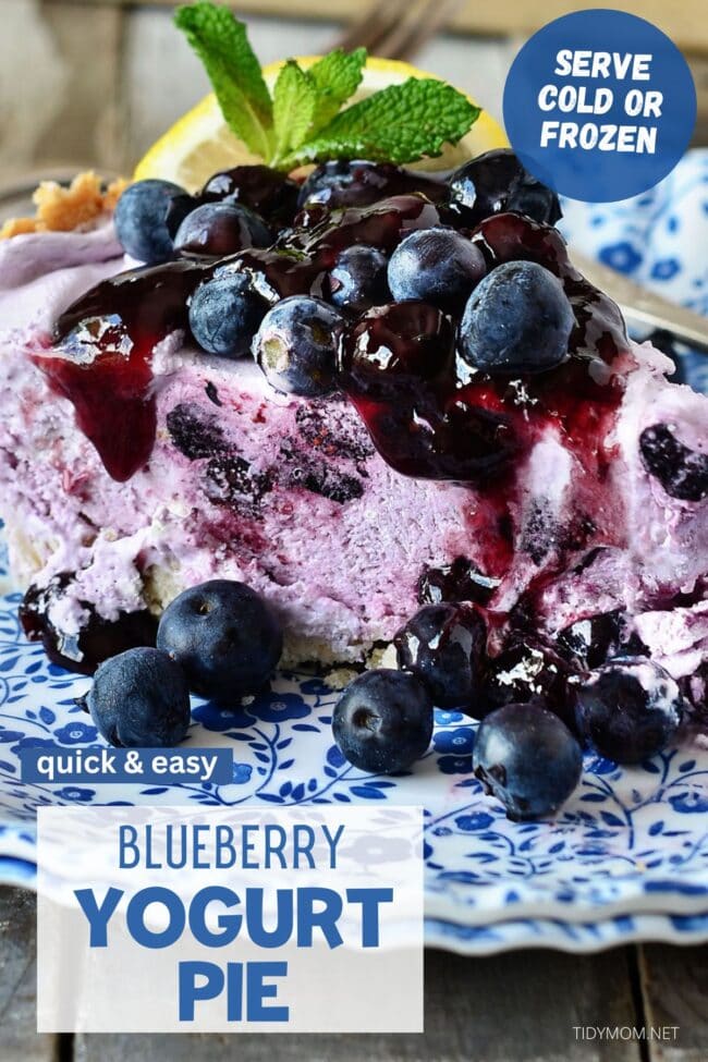 frozen yogurt pie
