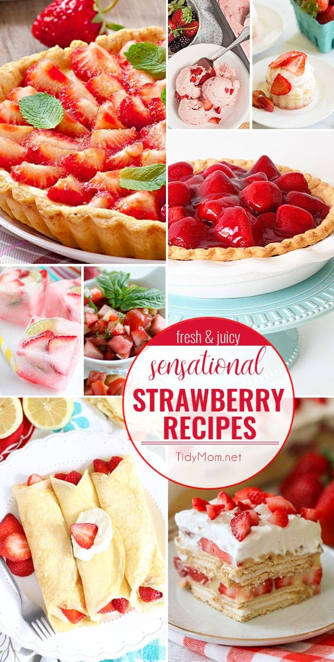 Celebrate the sweet taste of summer with these fresh and juicy SENSATIONAL STRAWBERRY RECIPES. From strawberry shortcake and strawberry pie to strawberry bruschetta and more! find all the strawberry recipes at TidyMom.net