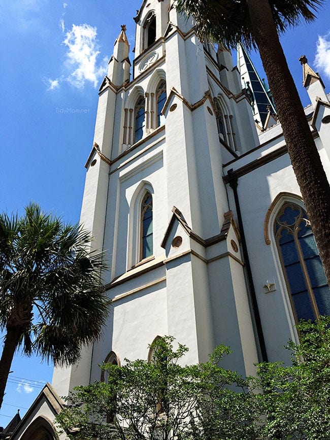 Cathedral of St. John the Baptist Savannah, GA. More Savannah Sightseeing at TidyMom.net