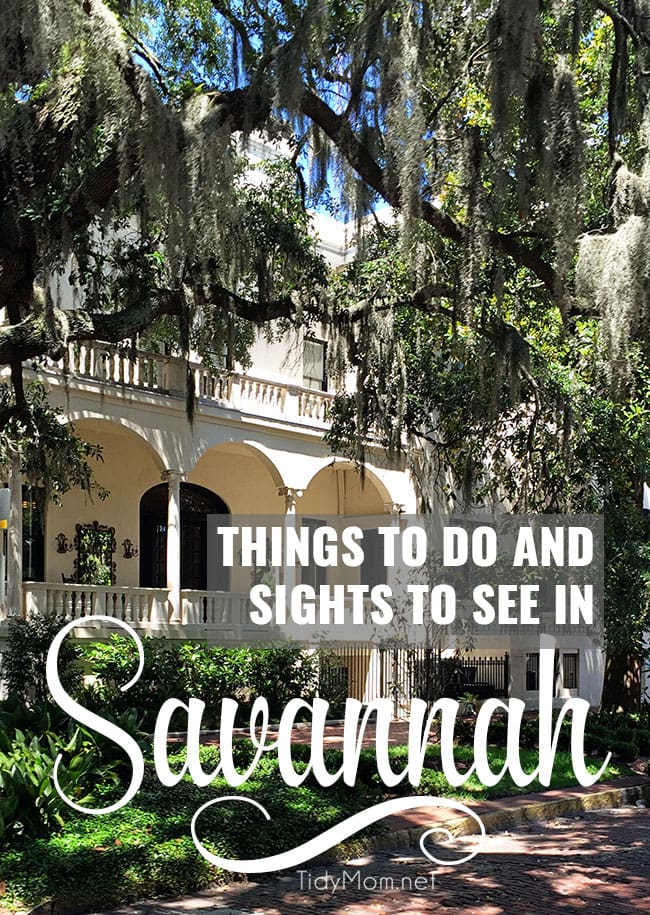 Sights To See In Savannah Georgia - Tidymom