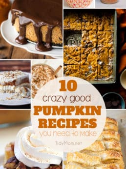 10+ Crazy Good PUMPKIN RECIPES you need to make this fall. From Slow Cooker Pumpkin Spice Latte and Pumpkin Cheesecake to Pumpkin Dump Cake, Harry Potter Pumpkin Juice and more! Find all the pumpkin recipes at TidyMom.net