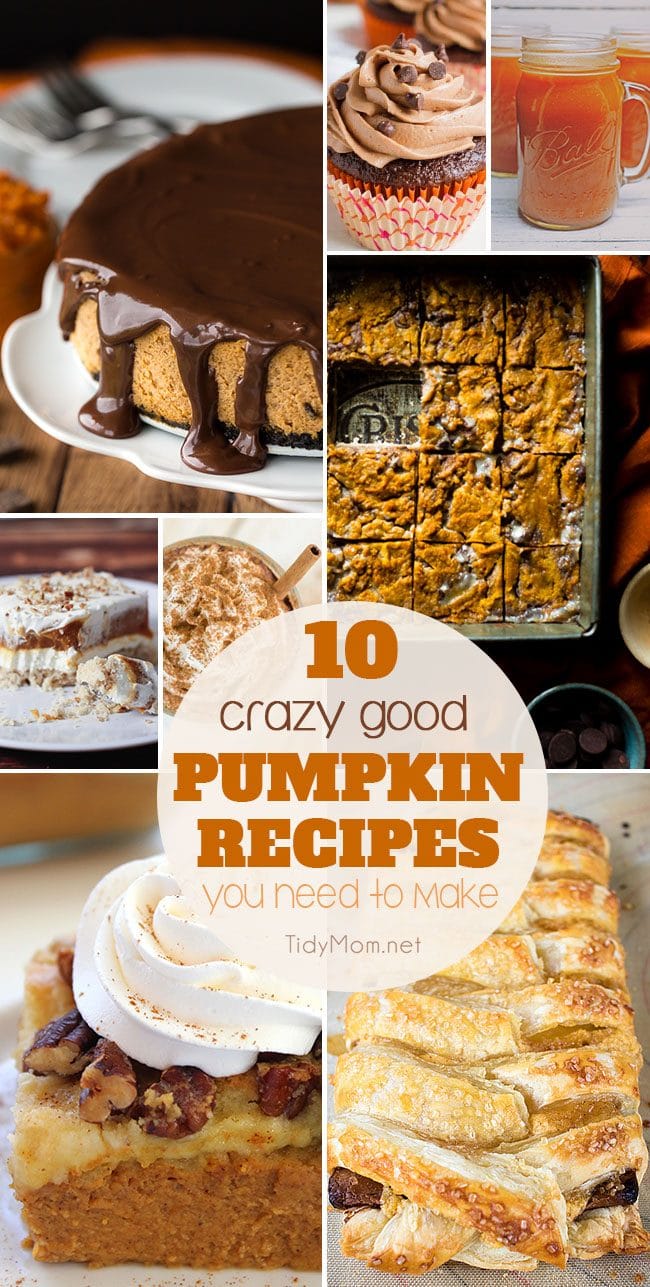 10+ Crazy Good PUMPKIN RECIPES you need to make this fall. From Slow Cooker Pumpkin Spice Latte and Pumpkin Cheesecake to Pumpkin Dump Cake, Harry Potter Pumpkin Juice and more! Find all the pumpkin recipes at TidyMom.net