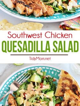 Southwest Chicken Quesadilla Salad is like an explosion in your mouth. Super easy to throw together.
