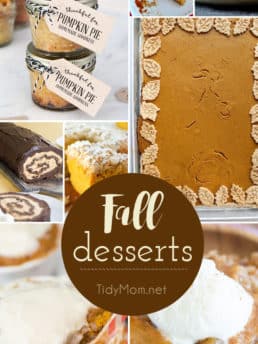 Fall Desserts That Would Be Wonderful For Thanksgiving.