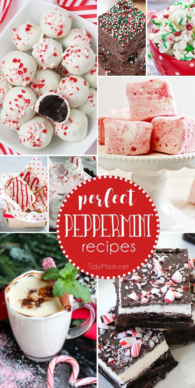 Delicious Perfect Peppermint Recipes. From peppermin fudge and peppermint marshmallows, to spiked peppermint hot chocolate and peppermint oreo truffles and more! details at TidyMom.net