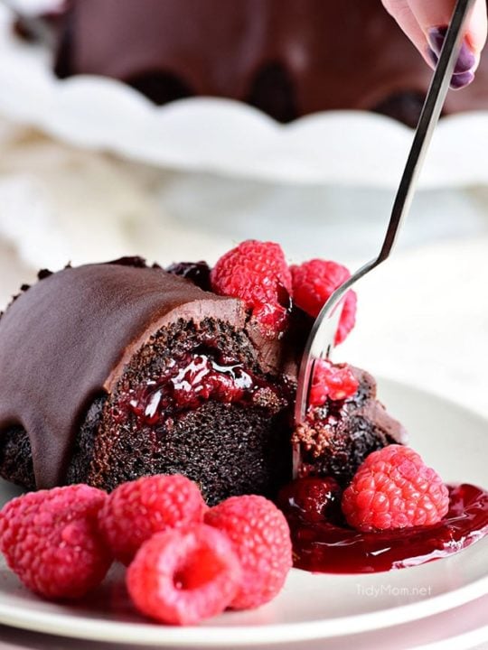 https://tidymom.net/blog/wp-content/uploads/2017/01/chocolate-raspberry-bundt-cake-fork-540x720.jpg