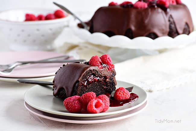 Chocolate Raspberry Bundt Cake (VIDEO) | TidyMom®