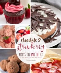 When you need a dessert that is sure to impress, you can’t go wrong with Chocolate and Strawberry recipes. Together or all on their own, they’re always a hit from cupcakes and truffles, to tarts, cakes, cookies and more! Get 8 Chocolate and Strawberry Recipes you have to try at TidyMom.net