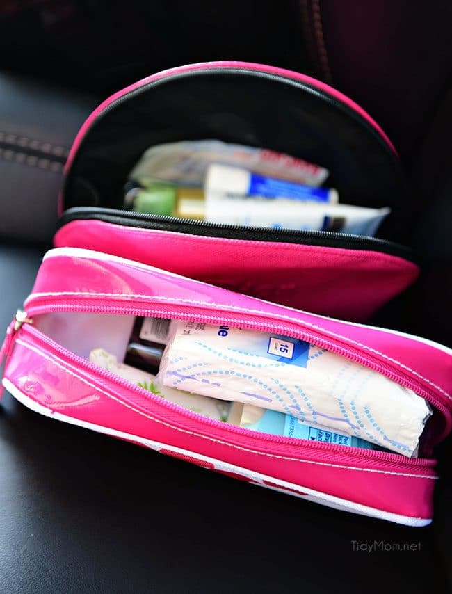 Clever ideas and tips for car organization at TidyMom.net