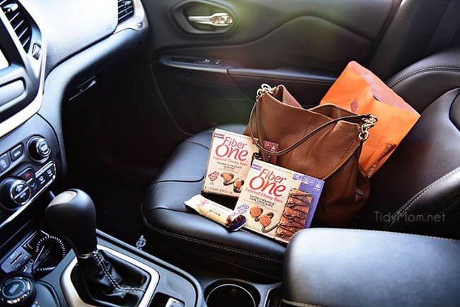 Clever Ideas and Tips for Car Organization - TidyMom®