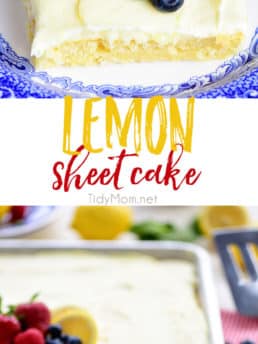 This no-fuss lemon sheet cake is super moist and makes a wonderful spring or summer dessert that easily feeds a crowd. It may not be a fancy cake, but each slice is pure lemon bliss! print full recipe at TidyMom.net