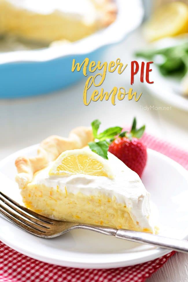 This Meyer Lemon Pie packs a ton of lemon flavor with a fluffy texture to a simple homemade dessert. Pops of sweet tangy Meyer lemons are perfect for spring. The pie is not overly sweet and has lots of citrus love all the way through to the homemade whipped cream for the top! Get the full printable recipe at TidyMom.net