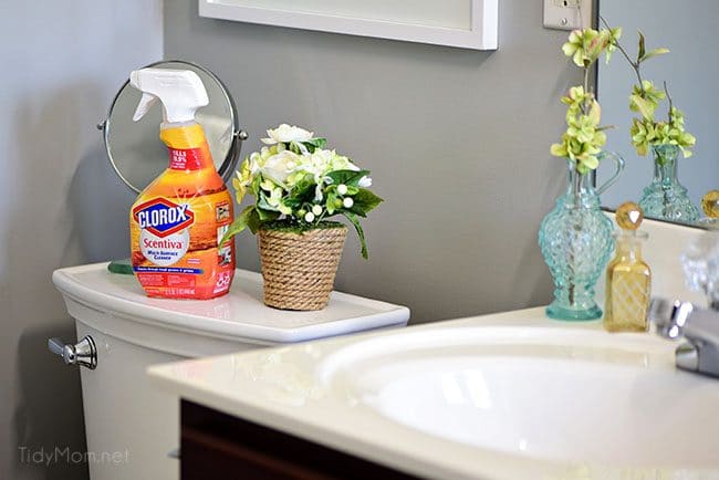 Clorox Scentiva disinfecting wipes and multi-surface cleaner clean, disinfect, deodorize and freshen your home.