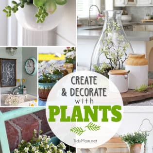 Inspiration to create and decorate with plants at TidyMom.net