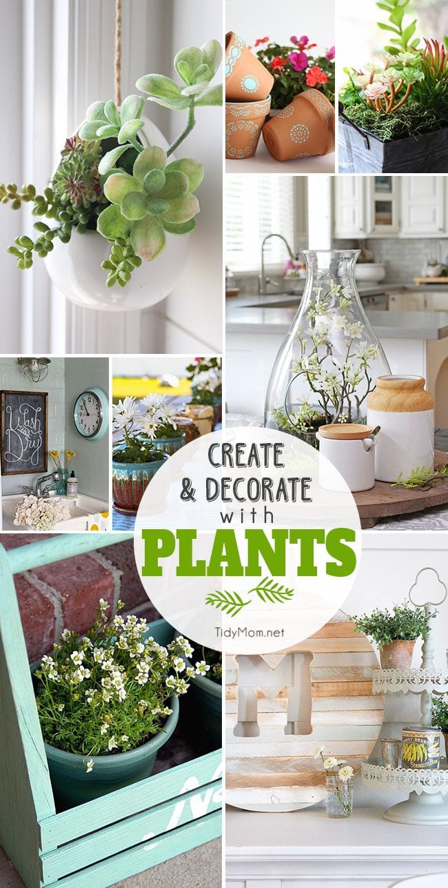 Create And Decorate With Plants TidyMom 