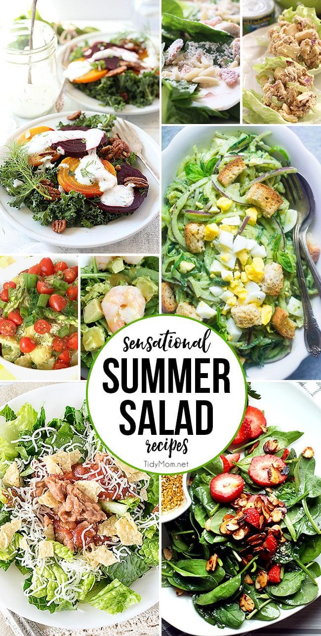 Sensational Summer Salad Recipes at TidyMom.net