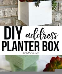 address planter box with succulents